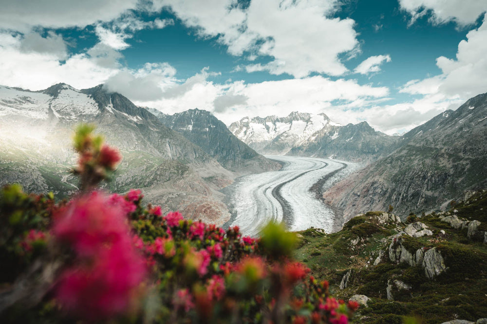 Aletsch Sommer