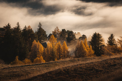 Misty Hut